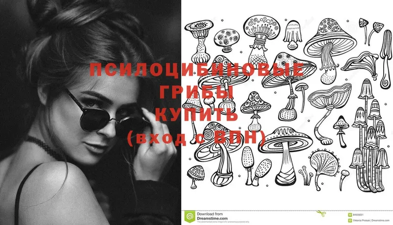 даркнет телеграм  блэк спрут онион  Апатиты  Псилоцибиновые грибы Psilocybine cubensis 